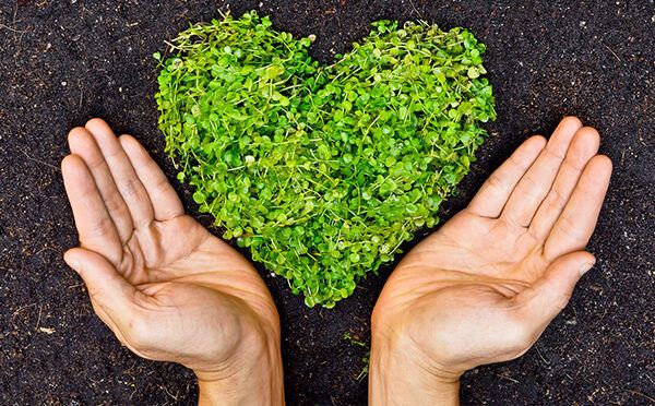 Environmentally conscious auto body repair process at Network Auto Body, providing eco-friendly service.